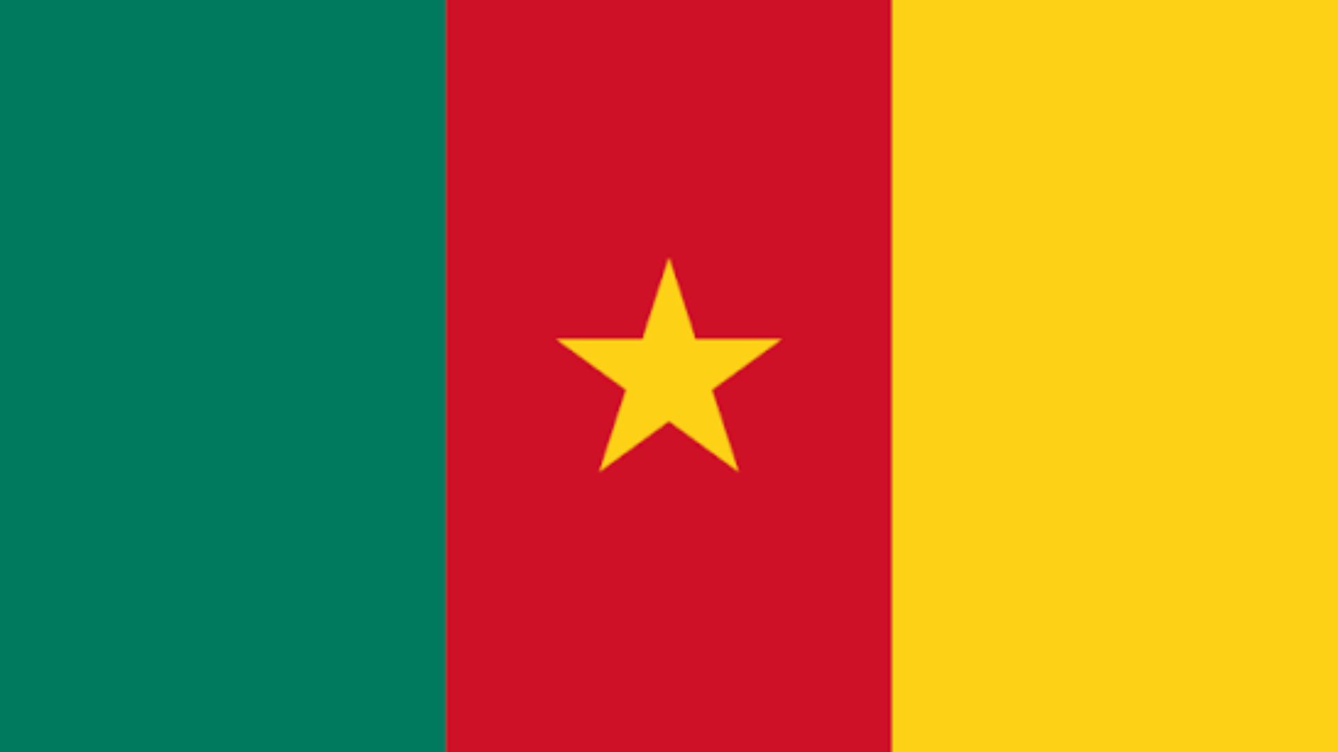 Cameroon Flag