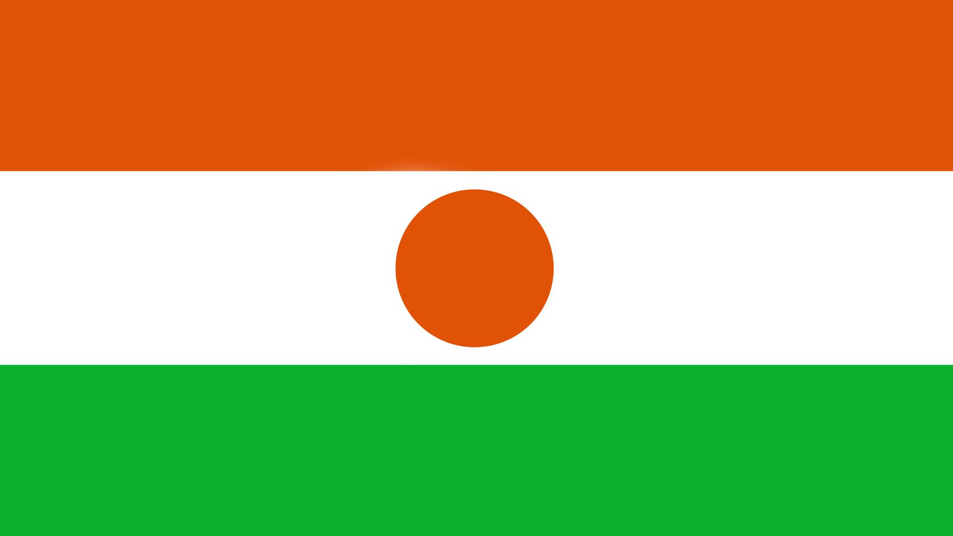 Niger Flag